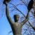 November: A time for remembrance - w(ar)t