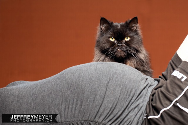 Maternity Portraits | With your Pet(s) 
