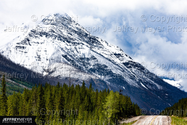 Canada, Highway, Mountains, Nature, Snowcap, Trees