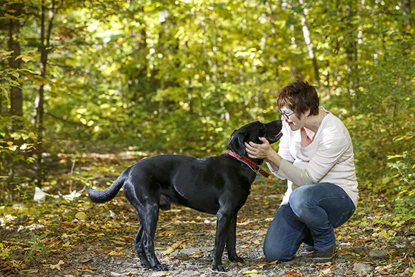 Catherine plays with her dog in Gatineau Park