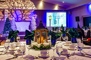 Event ambiance and room décor inspired by the Chronicles of Narnia.  Photo by Jeffrey Meyer.